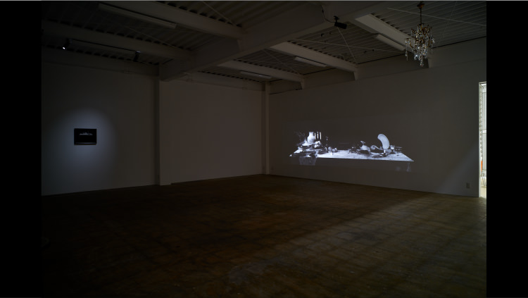 マスタークラス：現代美術アーティスト 小瀬村真美