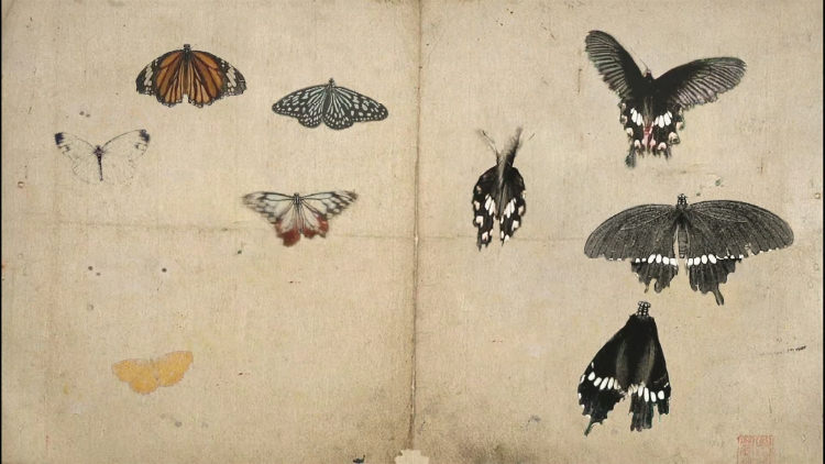 マスタークラス：現代美術アーティスト 小瀬村真美