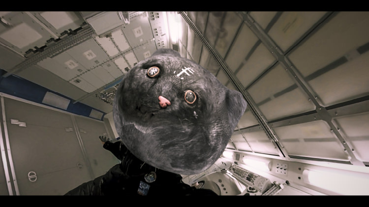 特集上映「TOCHKA WORKS [2006−2017] 」 