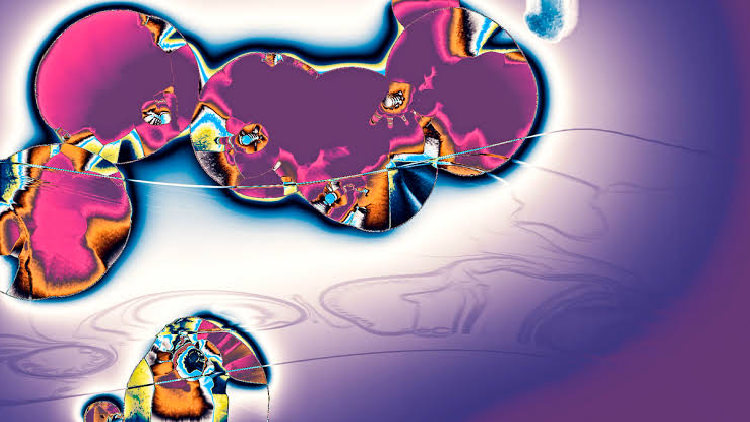 特集上映「Yoshi Sodeoka Works [2011−2021]」