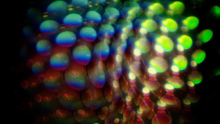 特集上映「Yoshi Sodeoka Works [2011−2021]」